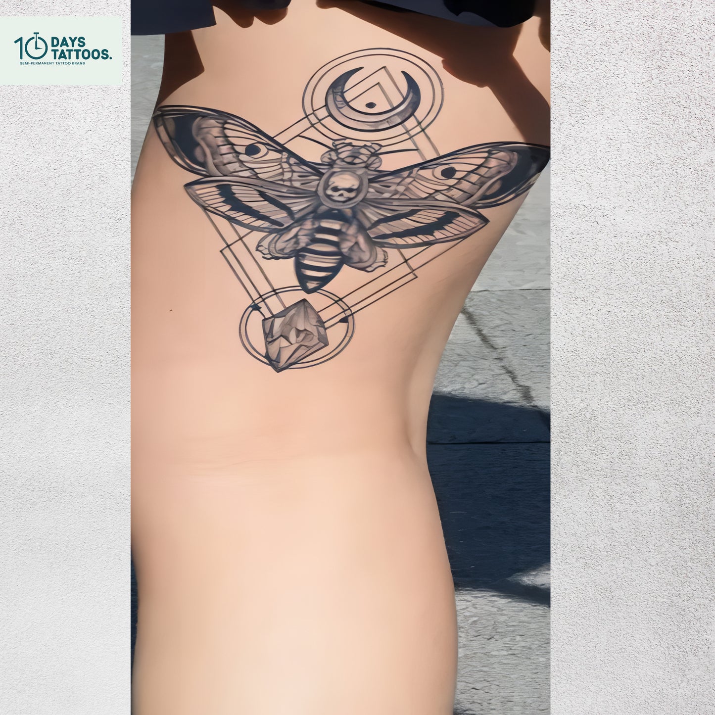 « La Tania de la Nuit Papillon »