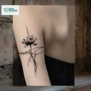 Lotus du Vent – Image 2