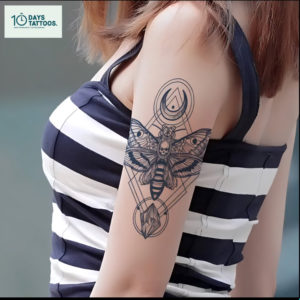 Papillon de la Nuit – Image 2