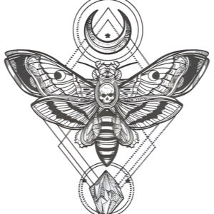 Papillon de la Nuit – Image 4